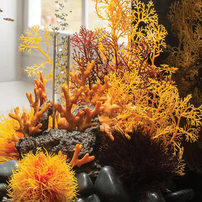 Orange Sea Fan - Small