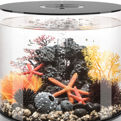 Orange Sea Fan - Small