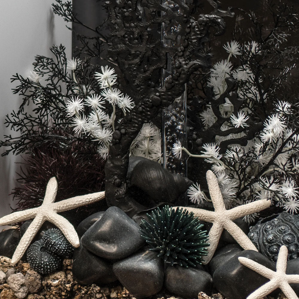 Black Sea Fan - Medium