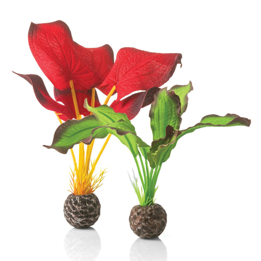 Red/Green Silk Plants - Small