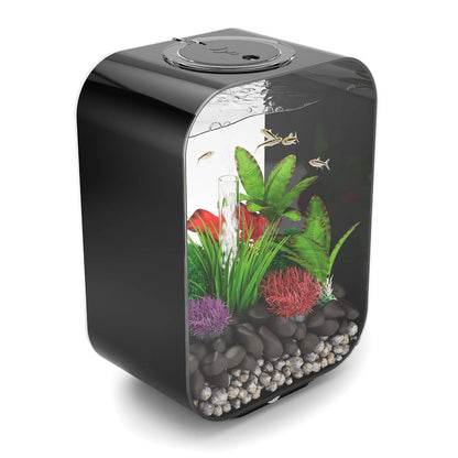 Red/Green Silk Plants - Small