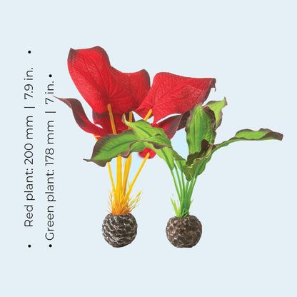 Red/Green Silk Plants - Small