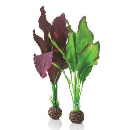 Green/Purple Silk Plants