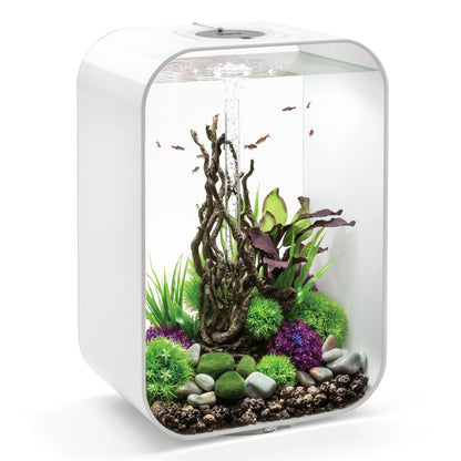 Green/Purple Silk Plants