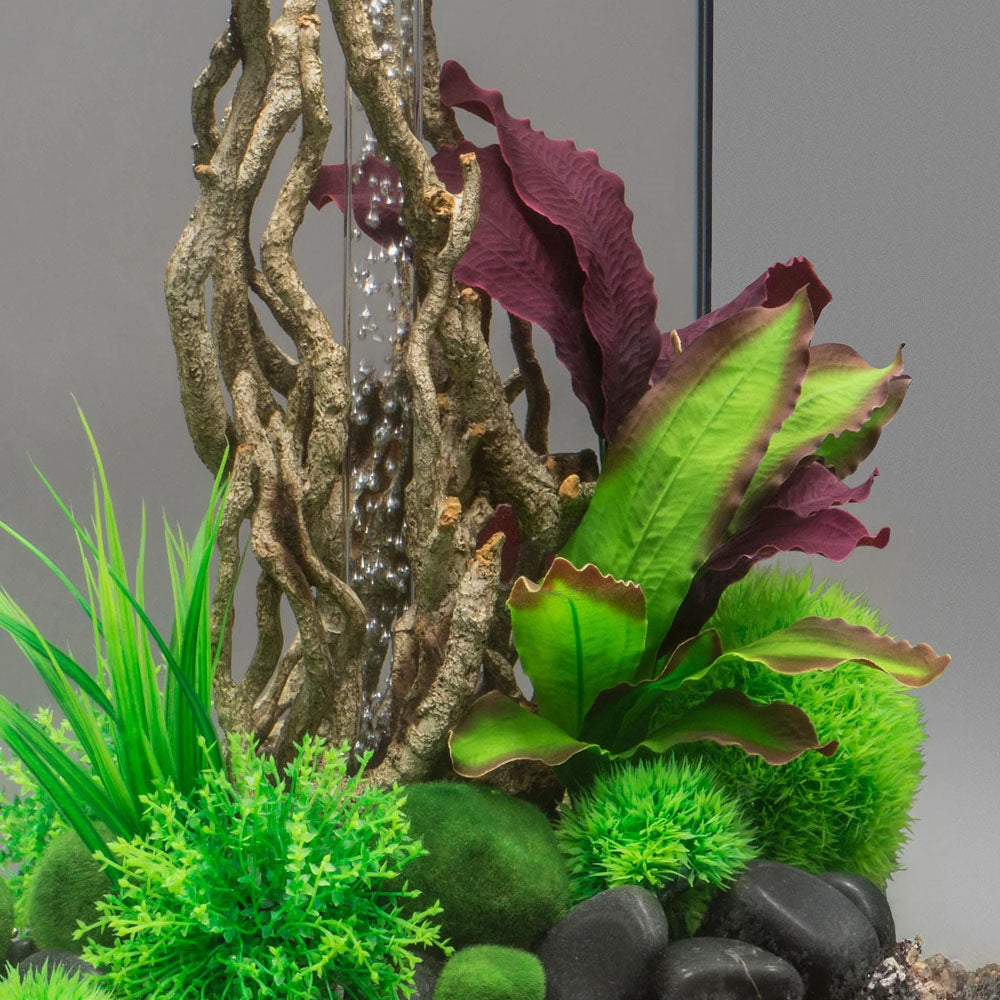 Green/Purple Silk Plants