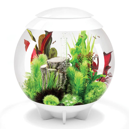 Red/Green Silk Plants - Large