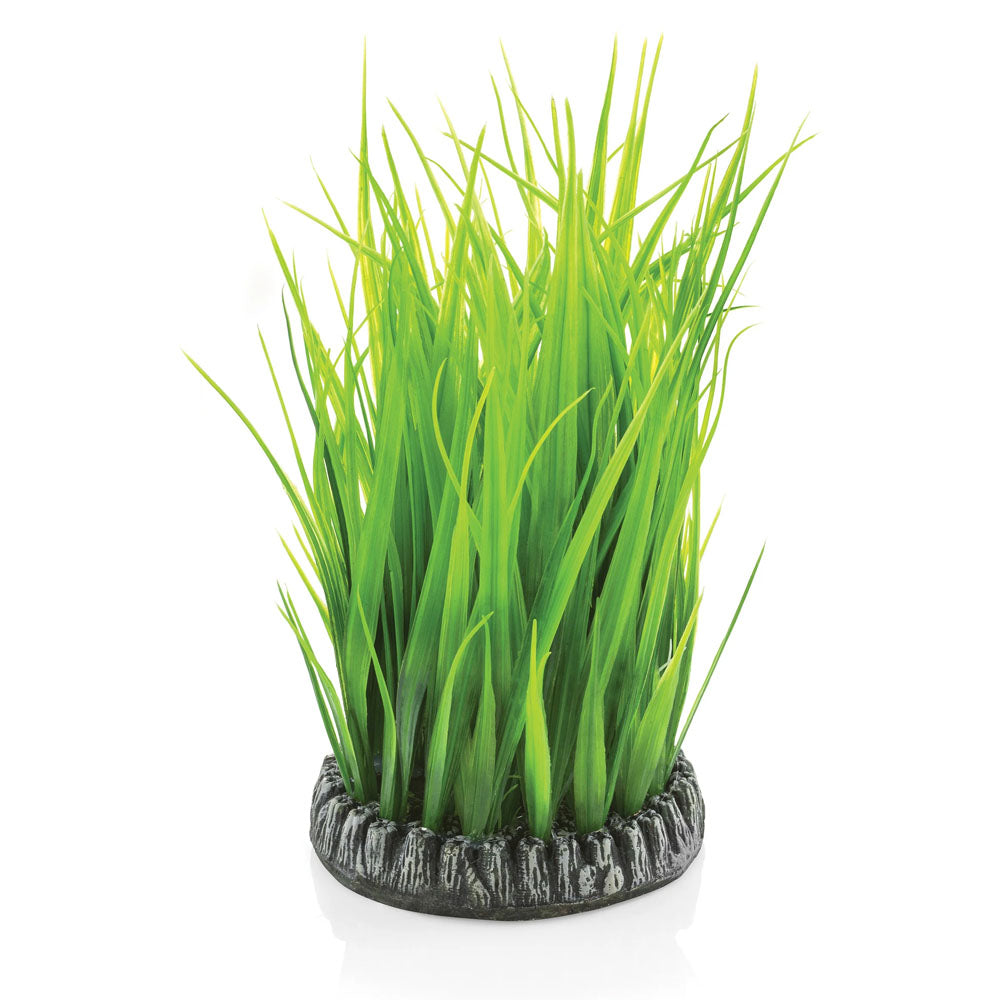 Grass Ring - Medium