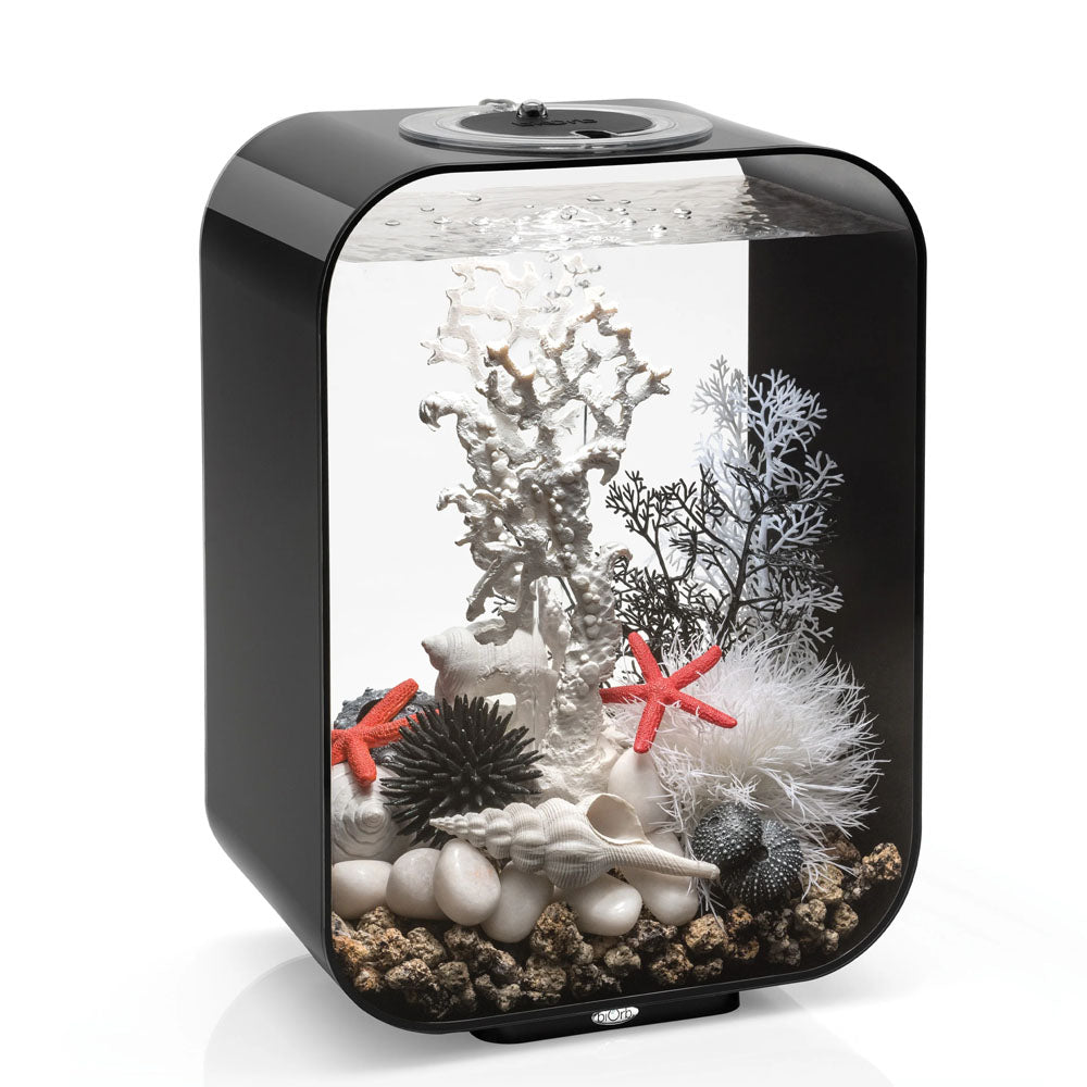 White Fan Coral Ornament - Medium