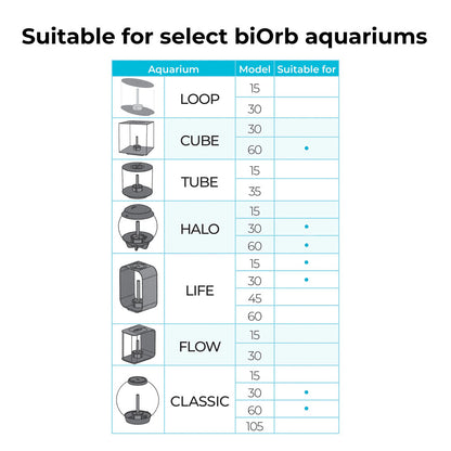 White Fan Coral Ornament - Medium