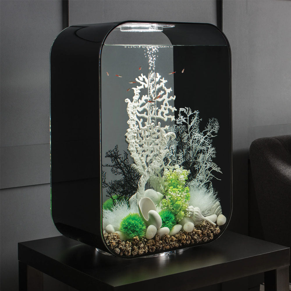 White Fan Coral Ornament - Large