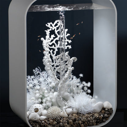 White Fan Coral Ornament - Large