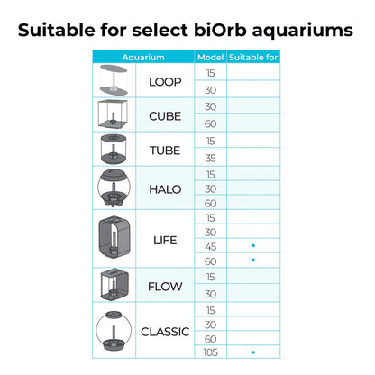 White Fan Coral Ornament - Large