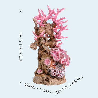 Samuel Baker Pink Reef Sculpture