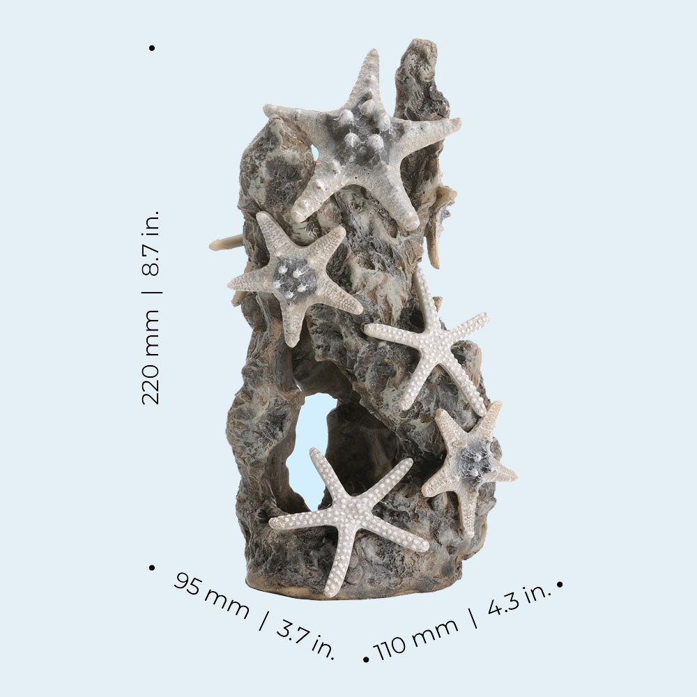 Samuel Baker Sea Stars On A Rock Sculpture