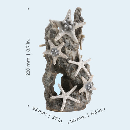 Samuel Baker Sea Stars On A Rock Sculpture