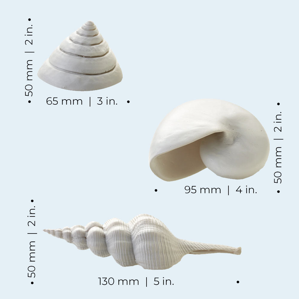 Sea Shells - White