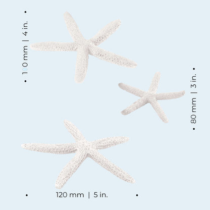 Star Fish - White