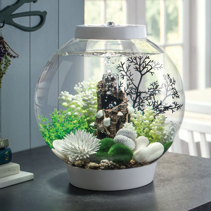 Samuel Baker White Shells On Stump Sculpture