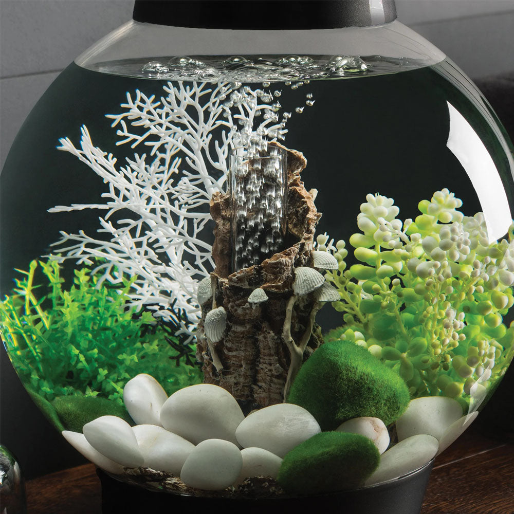 Samuel Baker White Shells On Stump Sculpture