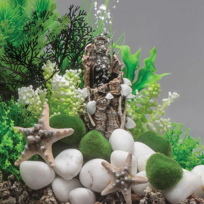 Samuel Baker White Shells On Stump Sculpture