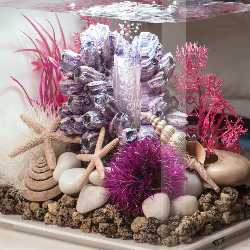 Sea Shells - Natural