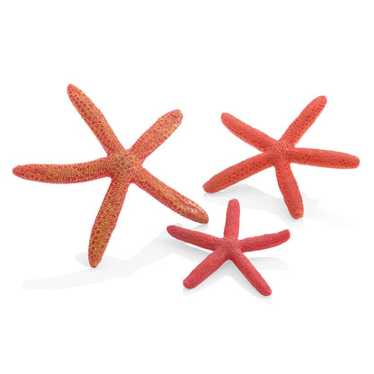 Star Fish - Red