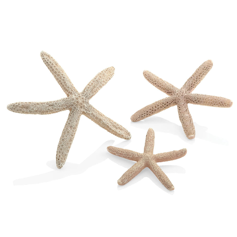 Star Fish - Natural