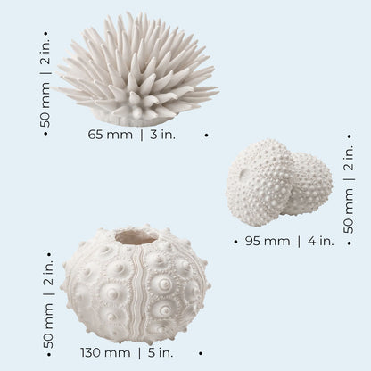 Sea Urchins Set - White