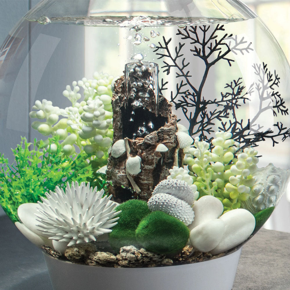 Sea Urchins Set - White