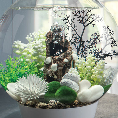 Sea Urchins Set - White