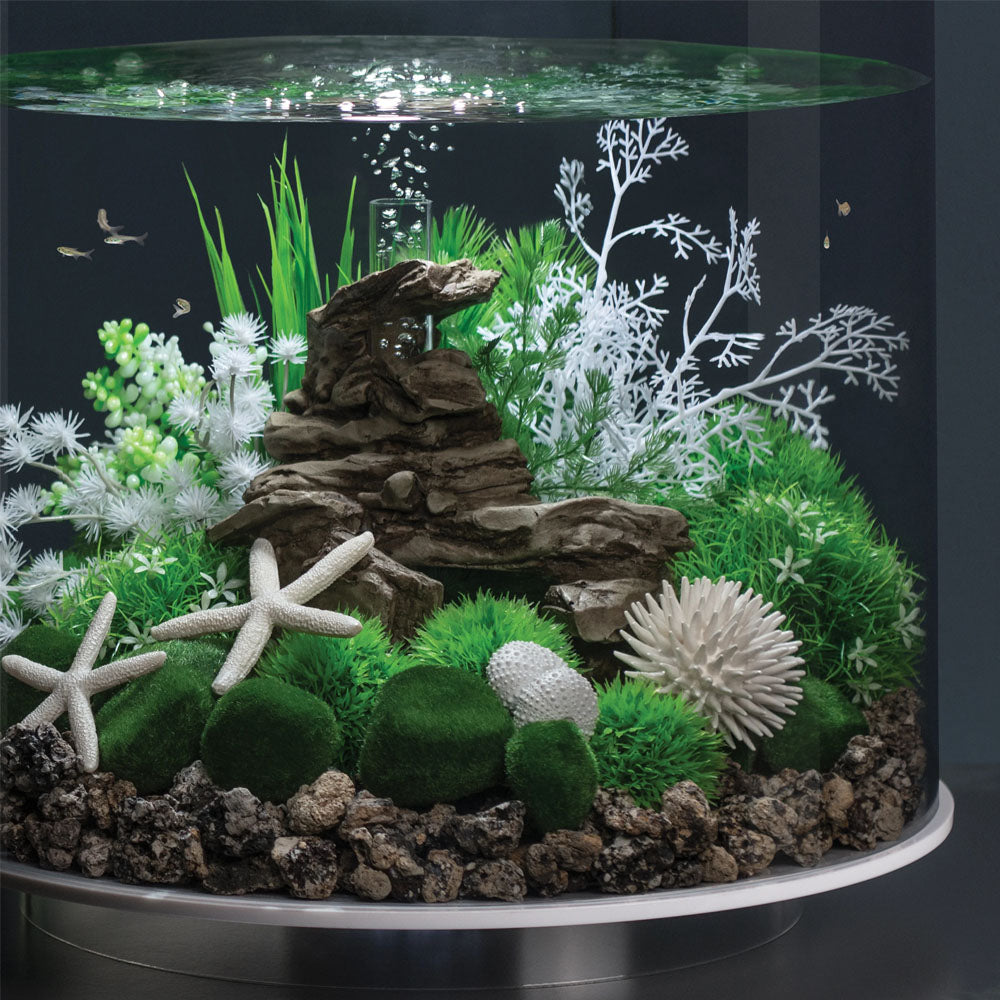 Sea Urchins Set - White