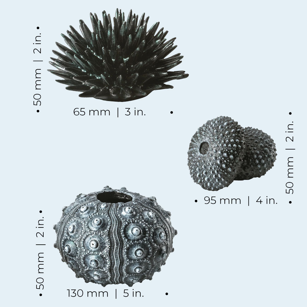 Sea Urchins Set - Black
