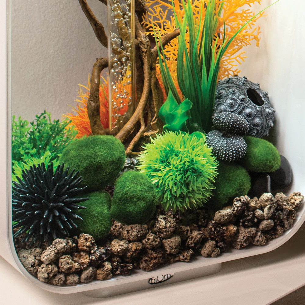 Sea Urchins Set - Black