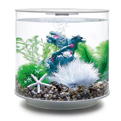 Easy Decor Set 15L - Flower Garden