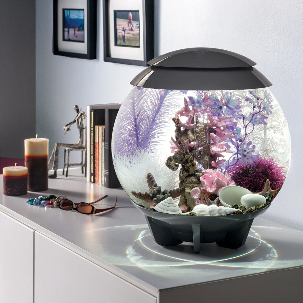 Easy Decor Set 30L - Pink Ocean