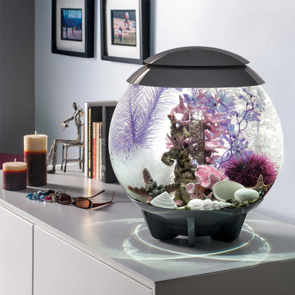 Easy Decor Set 30L - Pink Ocean