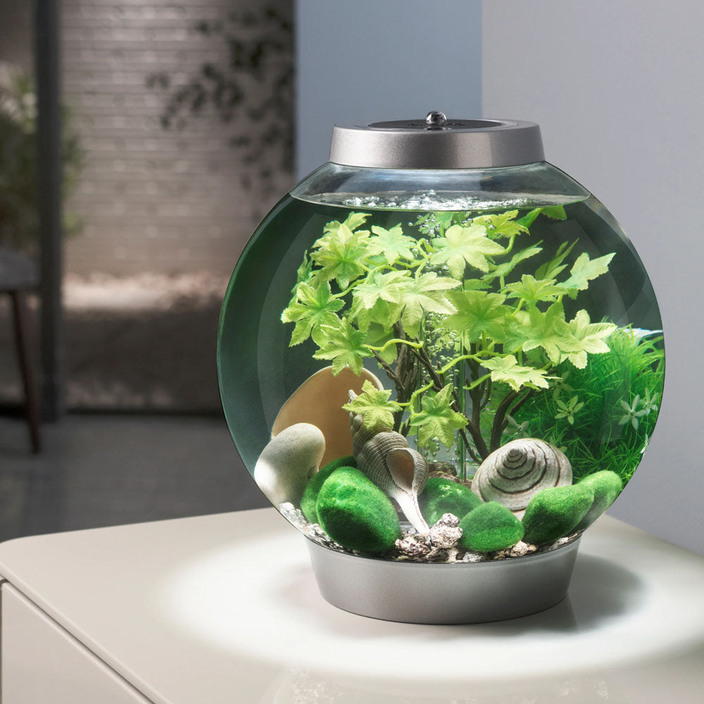 Easy Decor Set 15L - Summer