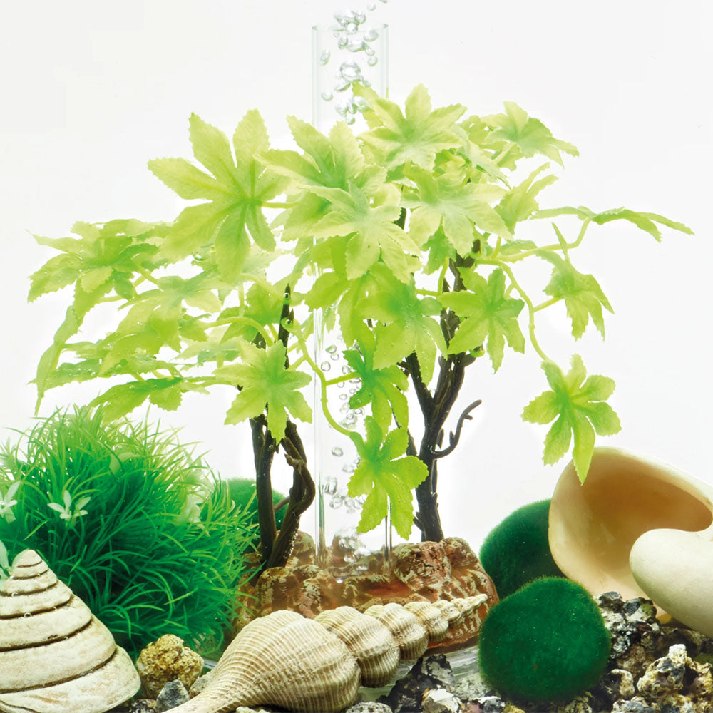 Easy Decor Set 15L - Summer