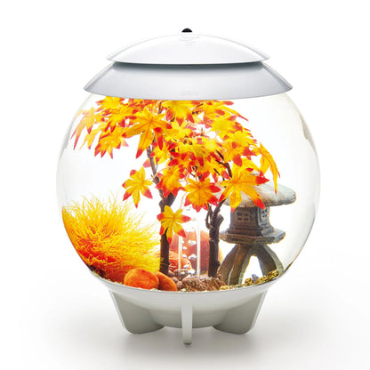 Easy Decor Set 30L - Autumn