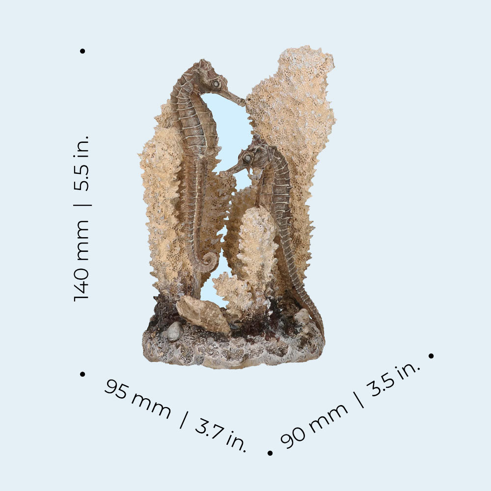 Seahorses On Coral Natural - Small