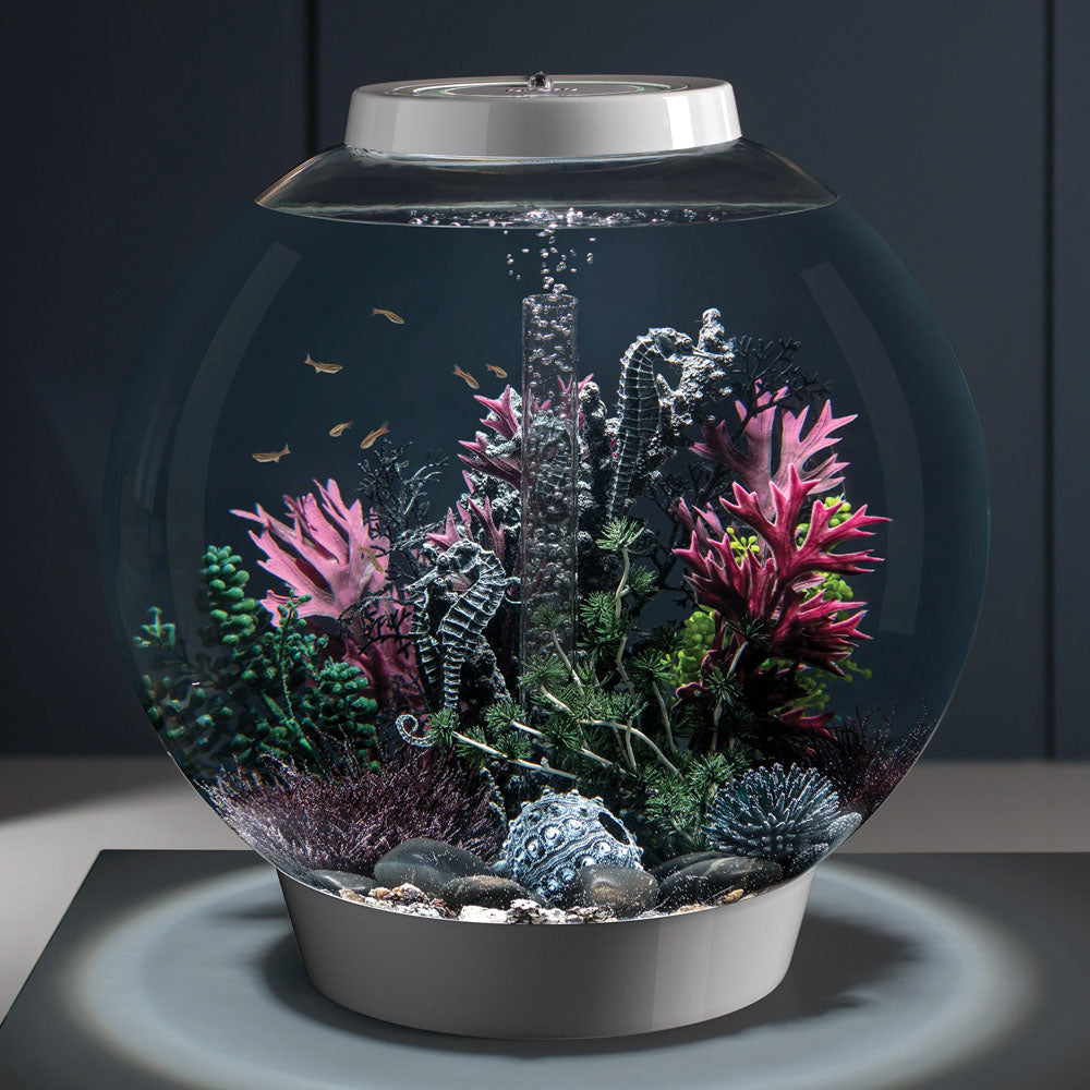 Seahorses On Coral Black - Medium