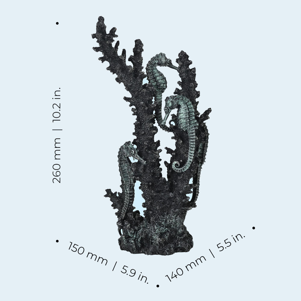 Seahorses On Coral Black - Medium