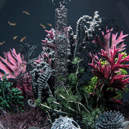 Seahorses On Coral Black - Medium