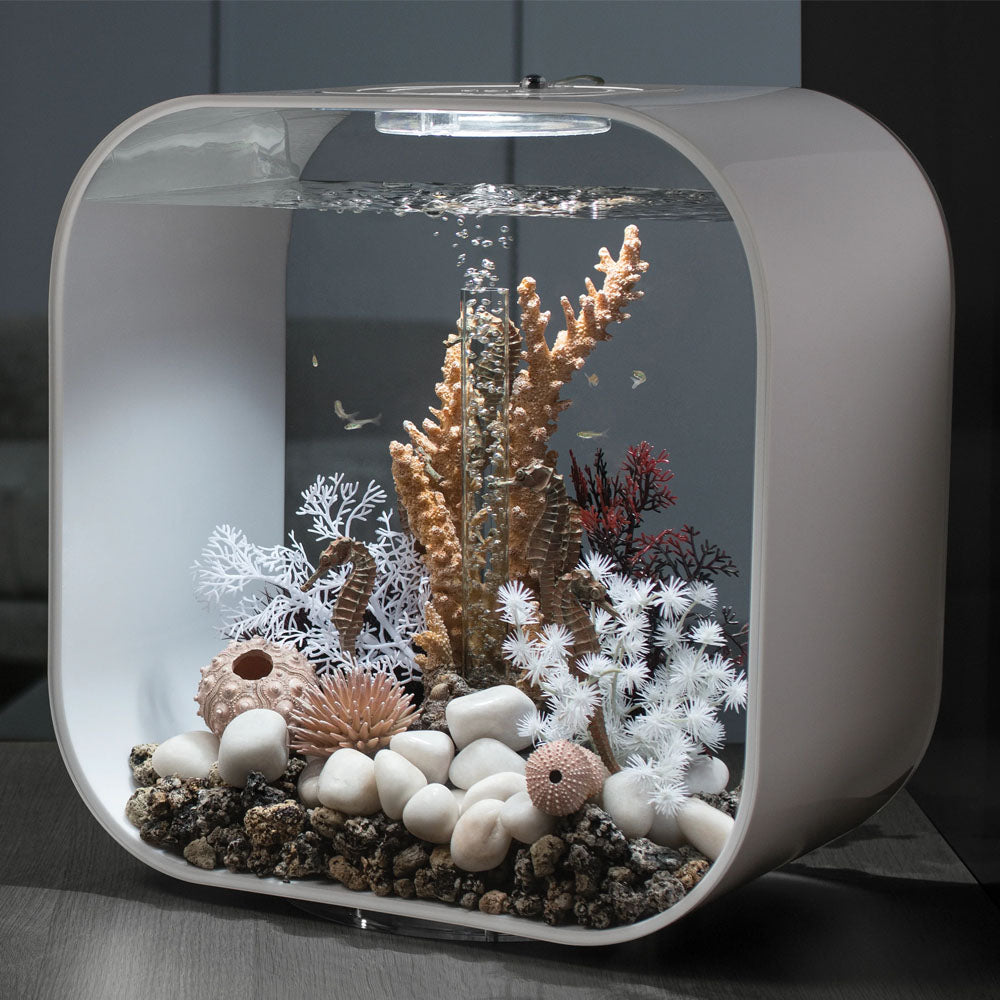 Seahorse Set - Natural