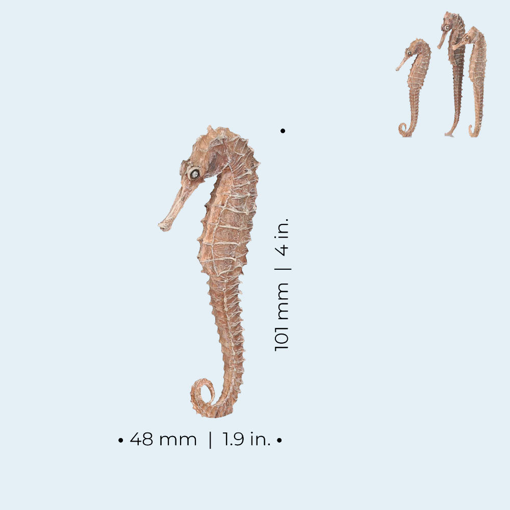 Seahorse Set - Natural