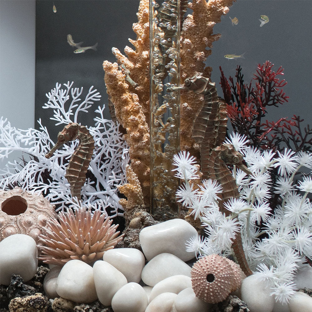 Seahorse Set - Natural