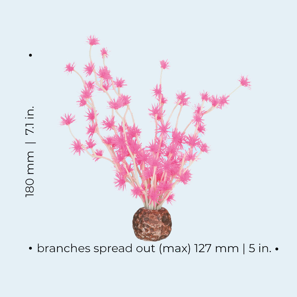 Bonsai Ball - Pink