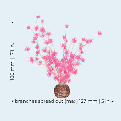 Bonsai Ball - Pink