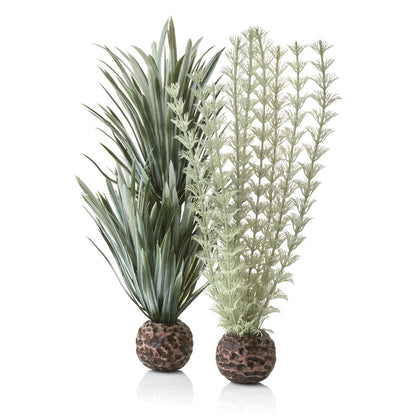 Ambulia Grey/Green - Small