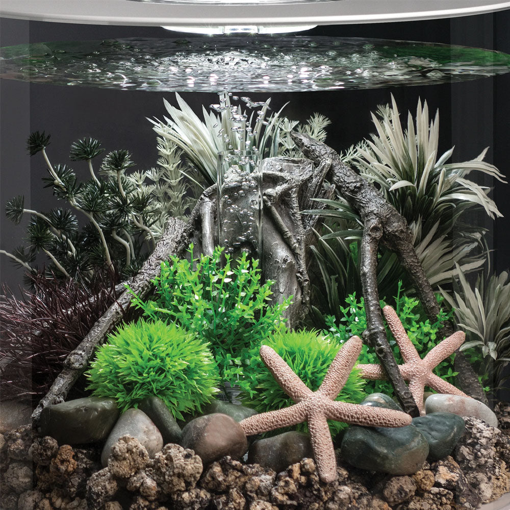 Ambulia Grey/Green - Small